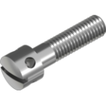 Stainless steel capstan screw DIN 404