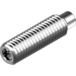 Stainless steel worm screws
