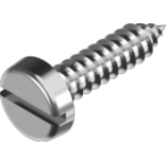 Cylinder head screw with slot DIN 7971