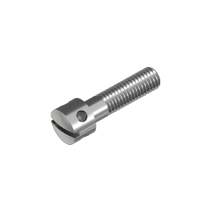 Stainless steel capstan screw DIN 404