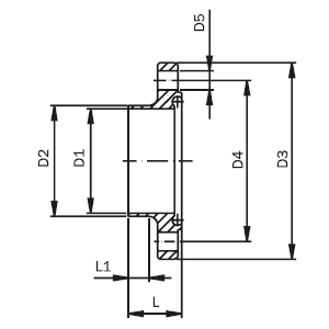HYGIENE Nutflansch DIN  kurz