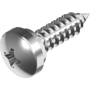 Stainless steel screws