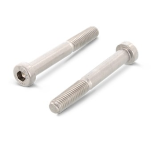 Stainless steel allen screw with low head DIN 7984