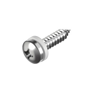 Pan head tapping screw with nylon washer DIN 9220