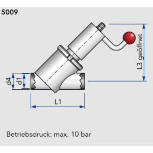 Schrägsitzventile