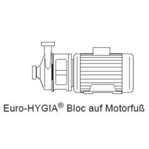 GRUNDFOS HYGIA 1  auf Motorfuß