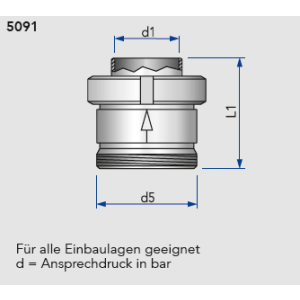 Edelstahl Tellerrückschlagventil DIN Außengewinde / Schweißende