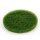 Superpad grün für Treibteller (VE 5 Stück)