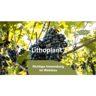 Vitisol (Lithoplan)t Pflanzenhilfsmittel,  Sack mit 15 kg, Bioqualität