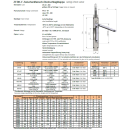 Edelstahl Zwischenflansch Rückschlagklappe DN50 PN10/16 V4A VITON (FKM)