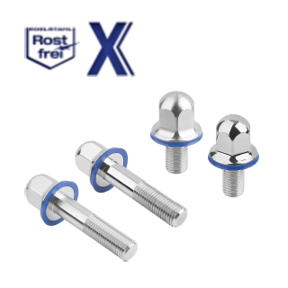 Hygieneschraube M6x12 inkl. EPDM Dichtung 1.4404  5000 Stk. (2,62/ Stk.)