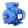 Drehstrommotor M90L 6P HP2 B3 MINOR MF230/50 für LIVERANI MINOR 40