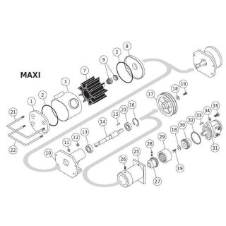 Gleitringdichtung für LIVERANI MAXI aus Wolfram Carbide - VITON