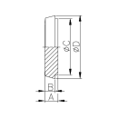 Blindkegel für Milchrohrverschraubungen DN80  1.4301