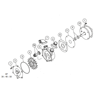 Dichtung am Pumpengehäuse 20