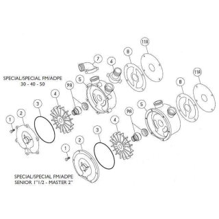 Edelstahldichtung für LIVERANI SENIOR 1 1/2"