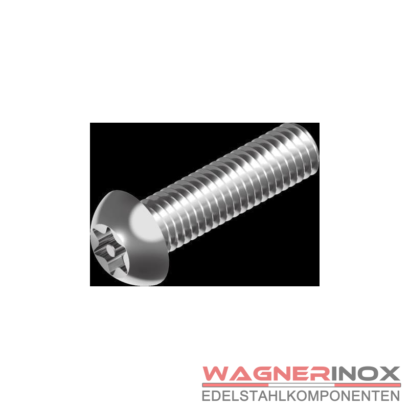 MIKFESPO Sicherheitsschrauben Torx - Manipulationssicher & Aus Edelstahl