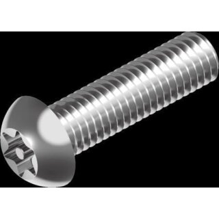 Edelstahl Sicherheitsschraube mit TORX und Pin DIN 9480