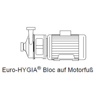 GEA HILGE HYGIA 1 / 1,1KW / 2900U/min. / Motorbaugröße 90S  / Anschlüsse DIN11851 DN40  auf Motorfuß