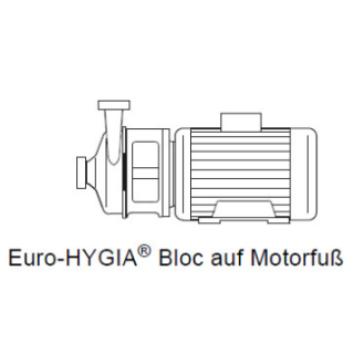 GEA HILGE HYGIA 1 / 4,0KW / 2900U/min. / Motorbaugröße 112M  / Anschlüsse DIN11851 DN40  auf Motorfuß