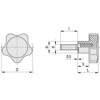 Sterngriffschraube Thermoplast mit INOX Schraubeneinsatz M6x16