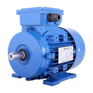 Elektromotor für MAJOR 1,5KW, 640 U/min., 400V