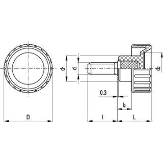 Rndelschraube M8x16 Thermoplast INOX
