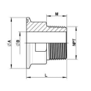 Clamp Anschluss 1/2" (25,4mm) auf NPT Außengewinde 1/2"  1.4404